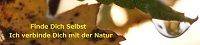 Finde Dich Selbst Webseite